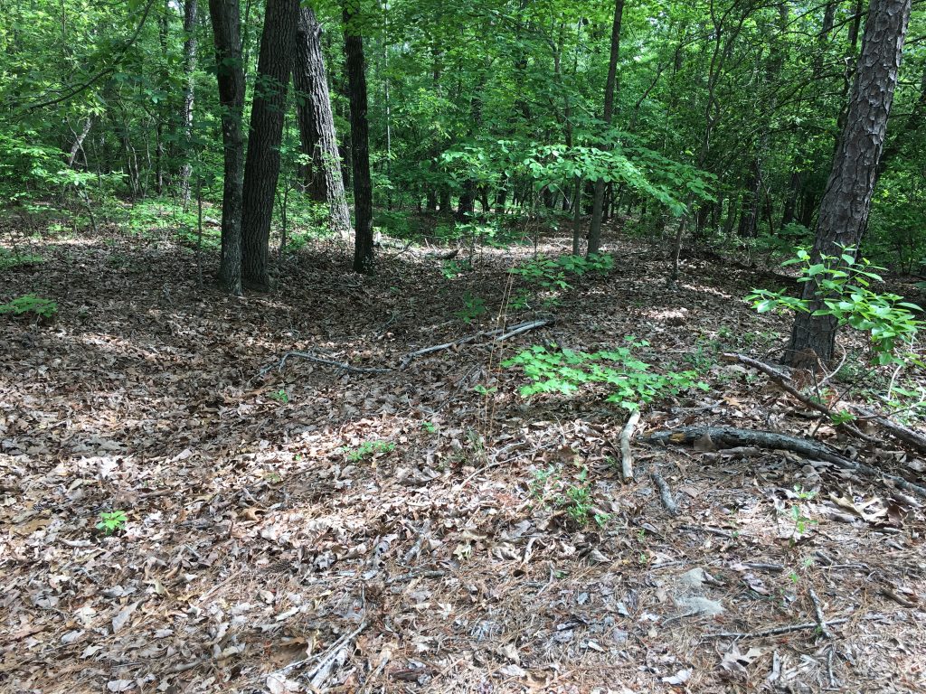 Remnants of trenches built at Bentonville by Union engineers from Michigan. - <i>Photo by the Author</i>