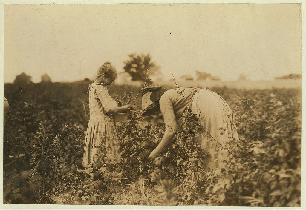 "Mary, a Polish girl and her mother, picking berries on Bottomley Farm, Rock Creek, near Baltimore, Md. In the winter they go to Dunbar, La., for oyster shucking.", 1909 - Lewis Hine - <i>Library of Congress</i>