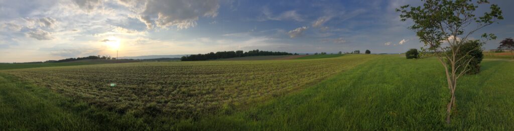 The view of the field from right off VA-100. - <i>Photo by the author</i>