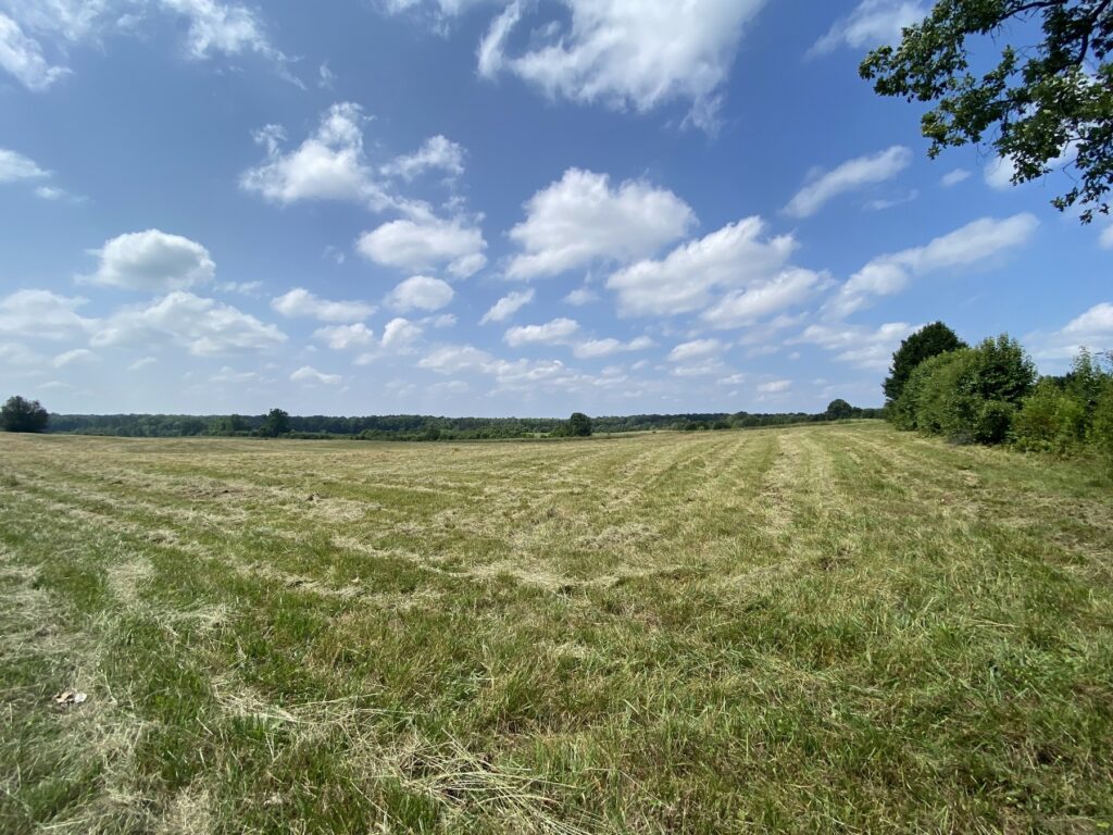 The rolling fields of the Battle of Lovejoy's Station. - Photo by the author