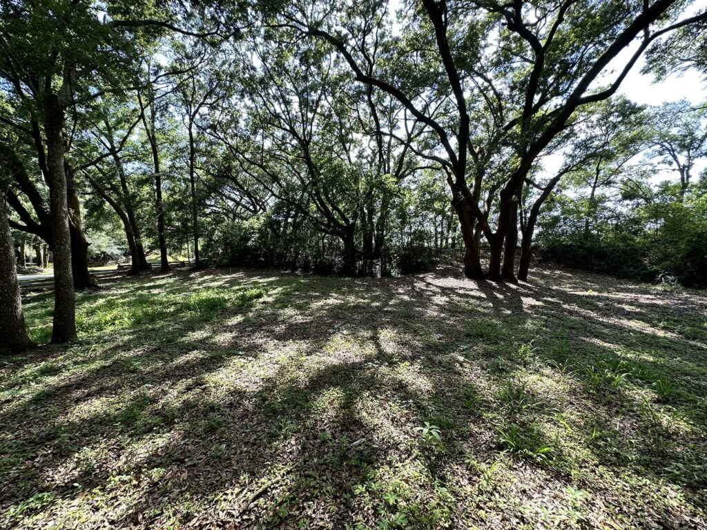 Finding the earthworks of Fort Lamar requires a little bit more imagination than usual. - <i>Photo by the author</i>