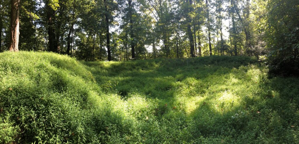 The remains of the Confederate artillery position at the Battle of Aquia Creek. - <i>Photo by the author</i>