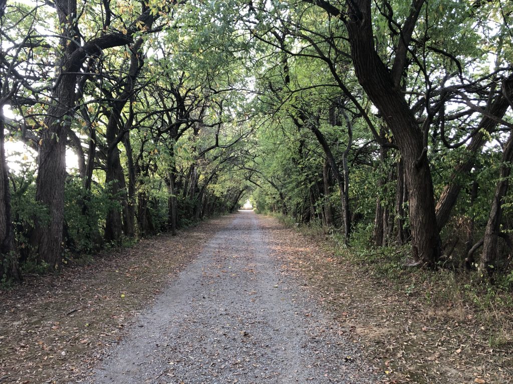 This perfectly serene tree-lined path at the Third Winchester battlefield looked like something out of a movie. - Photo by the Author