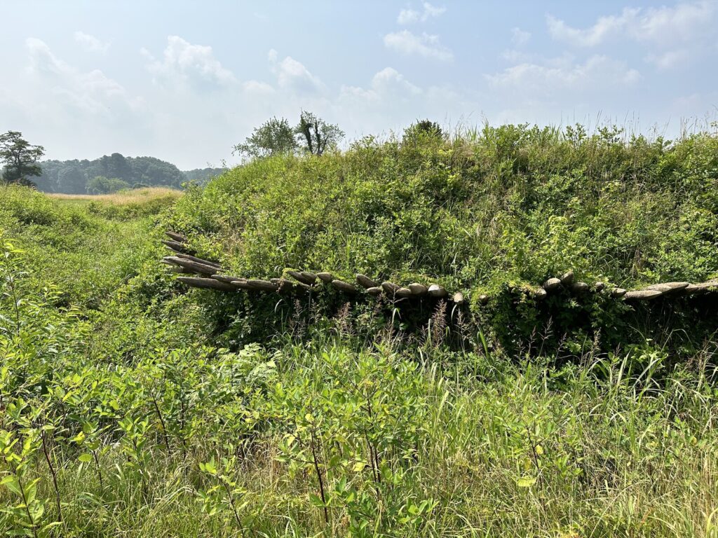 Some of the fortifications at Yorktown were re-used by the Confederates. - <i>Photo by the author</i>