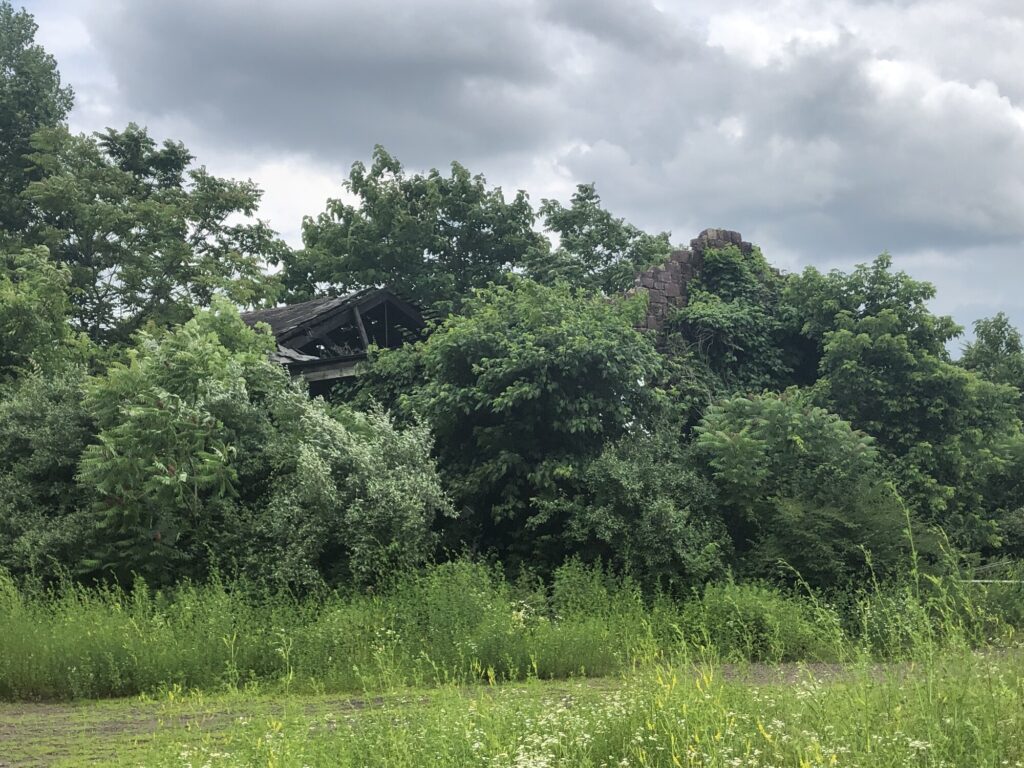 Overgrown ruins in the area where the Civil War-era portion of the iron works would have been. These are gone now. - <i>Photo by the author</i>